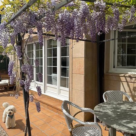 Bakea Apto Con Jardin Privado Bakio Bagian luar foto