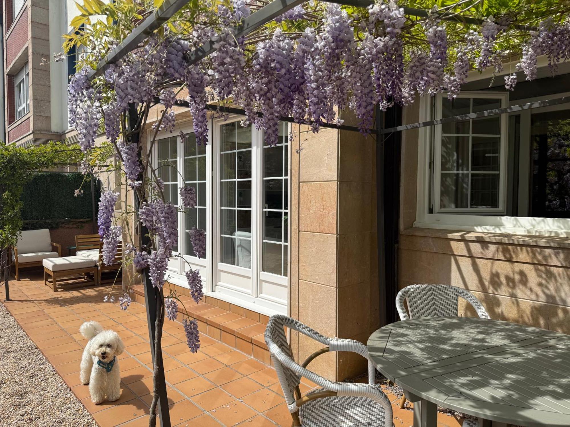 Bakea Apto Con Jardin Privado Bakio Bagian luar foto