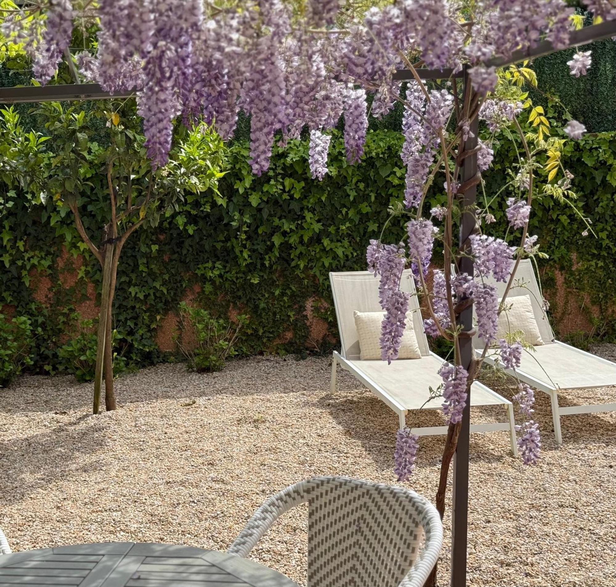 Bakea Apto Con Jardin Privado Bakio Bagian luar foto